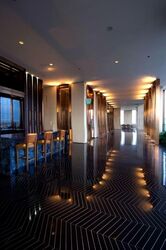 The Ritz-Carlton  (D9), Condominium #545961531